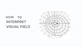 Interpretation of Normal Visual Field Central Vision Peripheral Vision Blind Spot Visual Field [upl. by Lougheed]