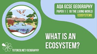 What is an Ecosystem  AQA GCSE Geography  Ecosystems 1 [upl. by Swayder]