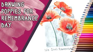 Drawing Poppies  Prismacolor For Remembrance Day [upl. by Ithnan]