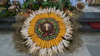 Erntedankschmuck in der Stadtpfarrkirche Fulda zum Erntedankfest 2024 [upl. by Elacim]