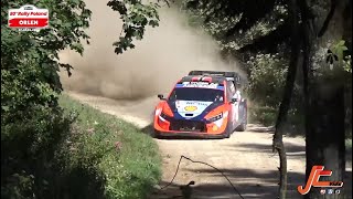 WRC POLAND 2024  FLAT OUT amp CRAZY MOMENTS  BestOf by JcVids [upl. by Odnuges974]