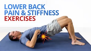 INSTANT RELIEF from Lower Back Pain and Stiffness 4 EASY Exercises [upl. by Hassi]