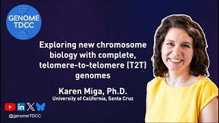 Exploring new chromosome biology with complete telomeretotelomere T2T genomes [upl. by Htebizile]