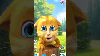 Talking Ginger Cat 😆😄⚡️ytshorts viralvideo shortsfeed [upl. by Acirtal486]