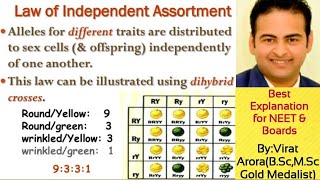 Mendels third lawLaw of independent assortmentexplanation of ratio 9331 121242121 [upl. by Tallbot]