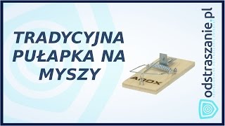 Pułapka na myszy AROX Łapka na myszy Jak pozbyć się myszy [upl. by Woodsum]