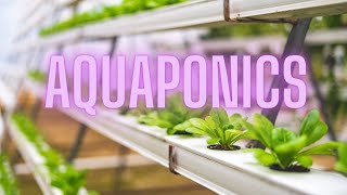 Aquaponics Merging Aquaculture and Hydroponics for Sustainable Farming [upl. by Oeram]