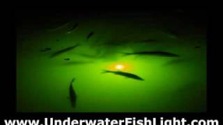 Attract Fish Guaranteed Amazing Green Fishing Lights [upl. by Macegan899]