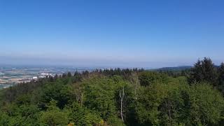 Wandern an der Bergstraße Hirschkopfturm Weinheim [upl. by Maloy]