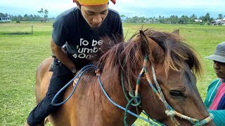 Cara Naik Kuda yang Benar  Horseback Archery [upl. by Eeram]