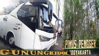 Wisata Pinus Pengger Gunung Kidul Wonosari Yogyakarta amp Pusat Oleh  Oleh Bakpia Juara Satu [upl. by Namurt461]