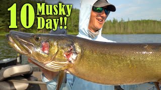 INTENSE June Musky Fishing  10 Fish Day [upl. by At]