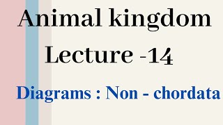 Diagrams  Non Chordates Animal kingdom Lecture  14 [upl. by Nevaj]