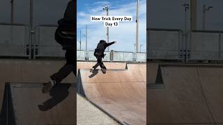 Half Cab Blunt 360 Shoveit Out  New Trick Every Day  Day 13 [upl. by Ahon160]