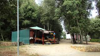 Camp Porto Sole Vrsar 2015 [upl. by Norel]