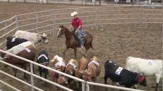 Ken McNabb Episode 326 Ranch Sorting at the Powderhorn Pt 1 [upl. by Ander486]