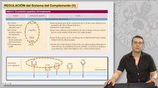 122 EL SISTEMA DE COMPLEMENTO Y SUS RECEPTORES II [upl. by Nohtanoj449]