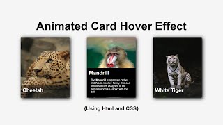 Animated Card Hover Effect  Html amp CSS  CodeEra [upl. by Eiuol419]