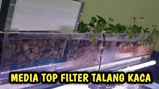 Susunan media filter talang kaca aquarium ikan mas koki [upl. by Alih68]