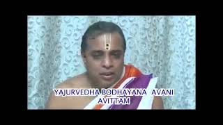 19th August 2024 Bodhayana Avani Avittam  Manikanta Ganapadigal [upl. by Sulrac]