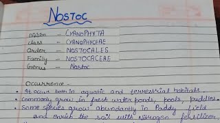 Nostoc OccurrenceVegetative structureReproductionNitrogen fixationlife cycle of Nostoc in detail [upl. by Yoccm]