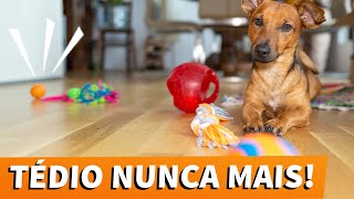 TOP 5 DICAS DE ENRIQUECIMENTO AMBIENTAL PARA CÃES  ENTENDA COMO CANSAR SEU CACHORRO  SEM PASSEIO [upl. by Owain]