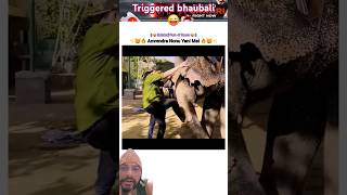 Triggered bna bahubali 😜😜 Chad gya hathi pe funny comedy shorts triggeredinsaan [upl. by Amarillas]