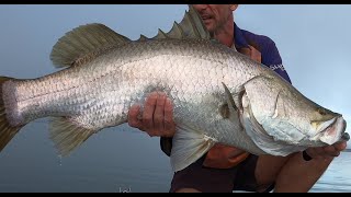 Epic lure fishing session for Impoundment Barramundi using LiveScope [upl. by Drucill]