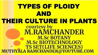 Types of PLOIDY and THEIR CULTURE IN PLANTS [upl. by Akimyt]