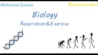 B2 Respiration amp Exercise Revision [upl. by Elegna107]