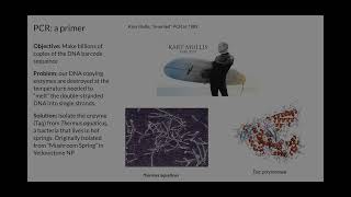 DNA Barcoding PCR and Sequencing Fungi [upl. by Kersten]