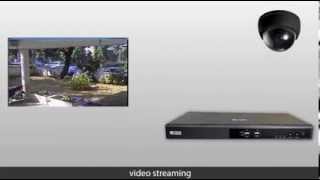 Matrix SATATYA NVR  How to add different types of IPNetwork Camera [upl. by Amelita912]