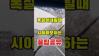 폭설이 내릴때 시야확보하는 꿀팁 폭설 운전 시야확보하는법 아파트 APT 란쟁이tv [upl. by Nniroc]