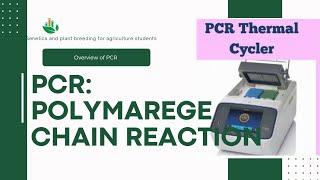 PCR polymerase chain reaction steps of PCRAll about PCR PCR machine tharmal cyclar [upl. by Yltneb]