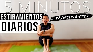 Rutina de ESTIRAMIENTOS para PRINCIPIANTES  5 Minutos al Día [upl. by Liagaba]