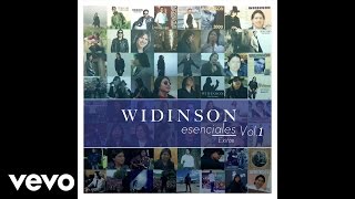 Widinson  No Me Arrepiento Audio [upl. by Lavicrep]