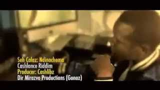 Seh Calaz  NdinochemaOfficail Music Video2014 [upl. by Bahner90]