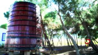 VINOS DE JUMILLA [upl. by Cecil]