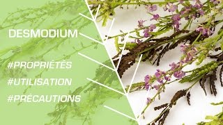 Comment utiliser le desmodium   Phytothérapie [upl. by Valiant]