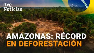 BRASIL La DEFORESTACIÓN del AMAZONAS es 5 VECES MAYOR que hace un año  RTVE Noticias [upl. by Nadbus338]