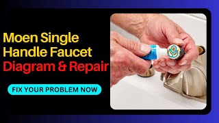 Moen Single Handle Faucet Diagram amp Repair [upl. by Aicilihp]