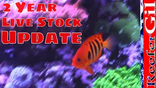 75 Gallon Saltwater Reef Aquaruim2 Year Livestock Update [upl. by Leid997]