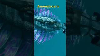 Additions Ascended Anomalocaris Premium Mod [upl. by Rratsal]