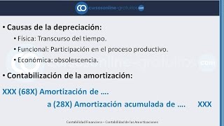 Contabilidad de las Amortizaciones  Amortizaciones Fiscales [upl. by Seabrooke794]