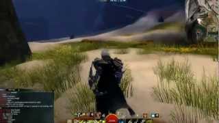 Guild Wars 2 Ranger PvP Movie  HolySoNg 1 [upl. by Eirrok]