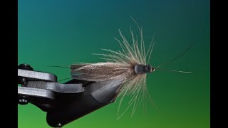 Fly tying a Giant stonefly dry fly with Barry Ord Clarke [upl. by Eniledgam418]