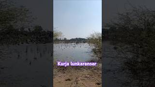 kurja झील lunkaransar कुरजा villagelife dessert [upl. by Ramsay]