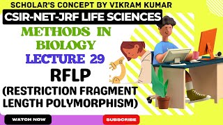 RFLP Restriction Fragment Length Polymorphism  Methods in Biology [upl. by December]