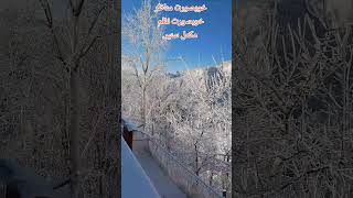 Ayubia Murree snow falling beautiful viewbamcichannel [upl. by Patsy]