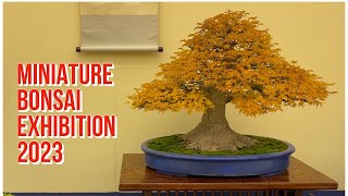 2023 Miniature Shohin Bonsai Exhibition Kyoto Japan  第48回小品盆栽フェア雅風展 [upl. by Rizika3]